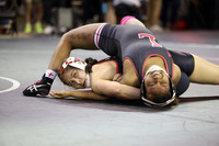 2025 State Wrestling Tournament 3-1-2025
