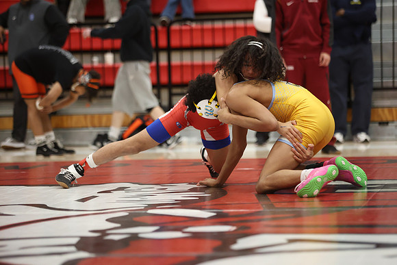 HR115024